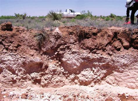 caliche soil diagram